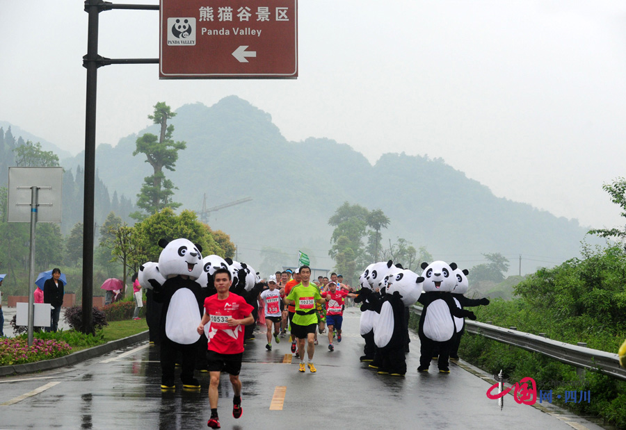 大熊貓陪你一起跑！