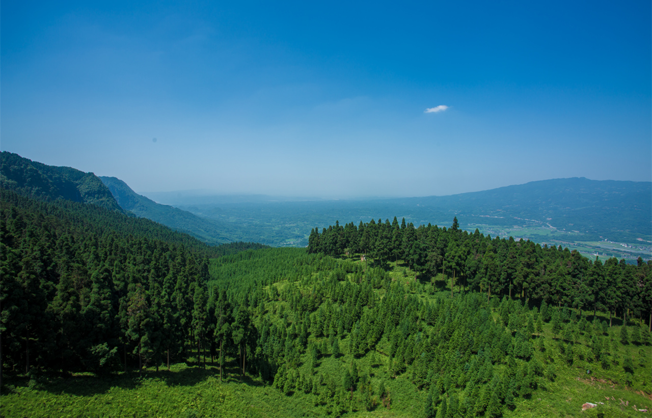 瓦屋山國家森林公園玉屏山景區(qū)即將開山  開始招賢納才